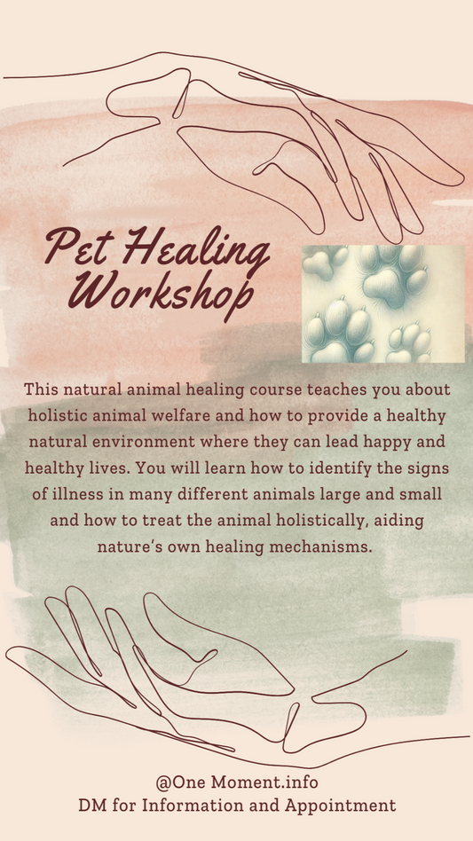 Pet Healing Workshop